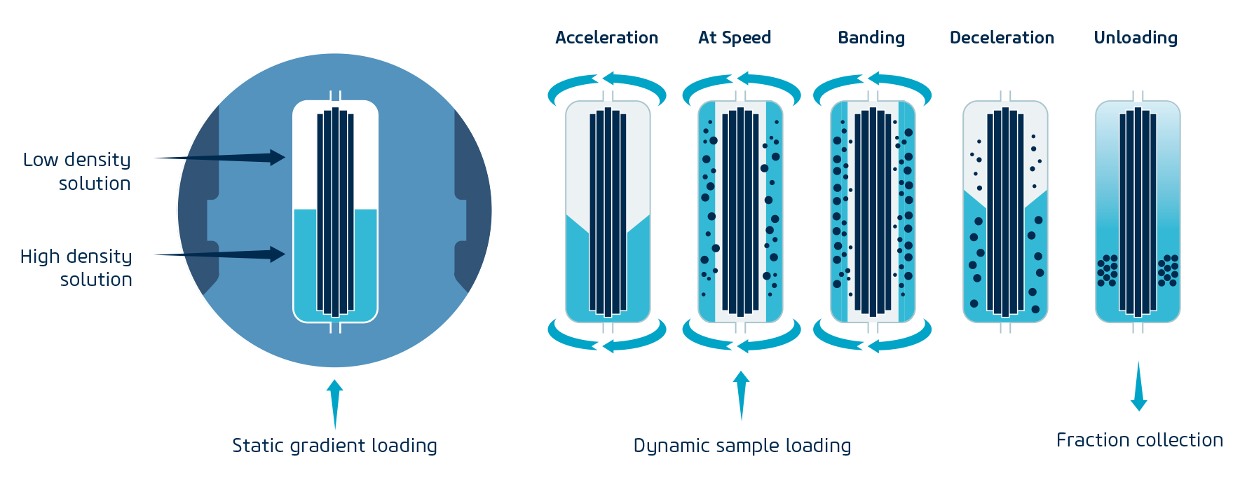 COVID-19 process diagram